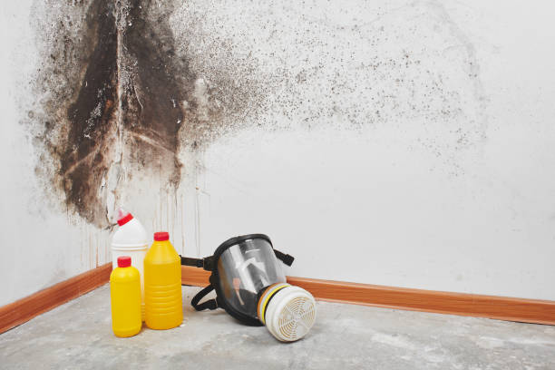 Best Industrial Mold Remediation in Centerfield, UT