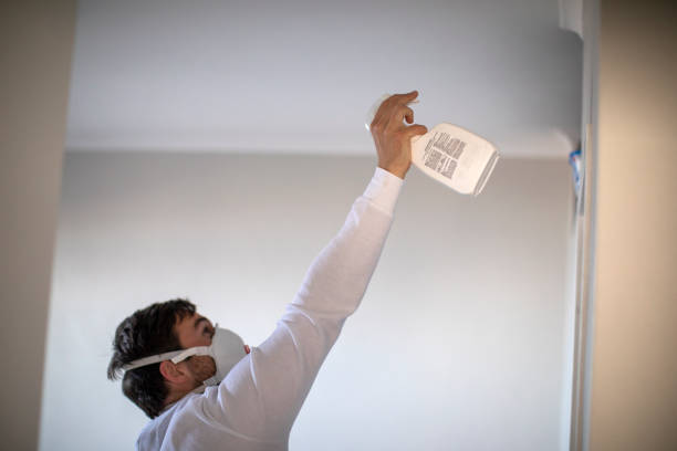 Best HVAC Mold Remediation in Centerfield, UT