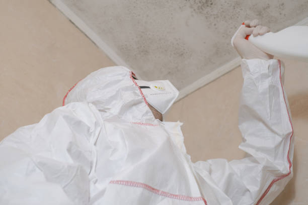 Best Attic Mold Remediation in Centerfield, UT