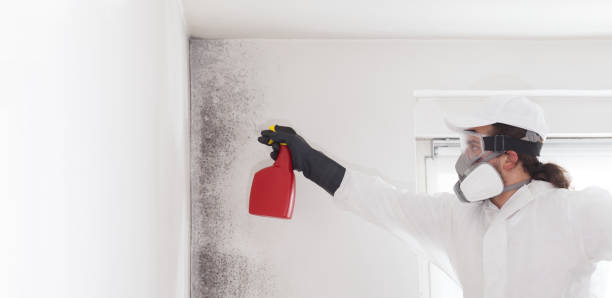 Best Post-Remediation Services in Centerfield, UT