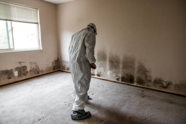 Centerfield, UT Mold Remediation Company